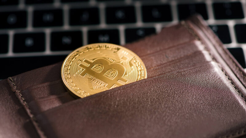 Bitcoin transfers from stock exchanges to self-controlled Wallets: reasons and potential effects