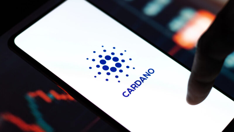 Cardano ecosystem: Is the blockchain competitive?