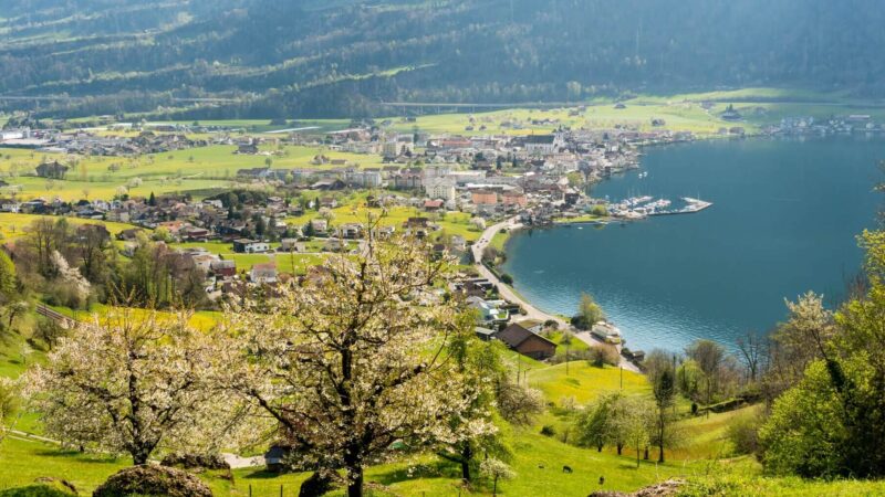 Crypto Valley records growth of 14% despite competition