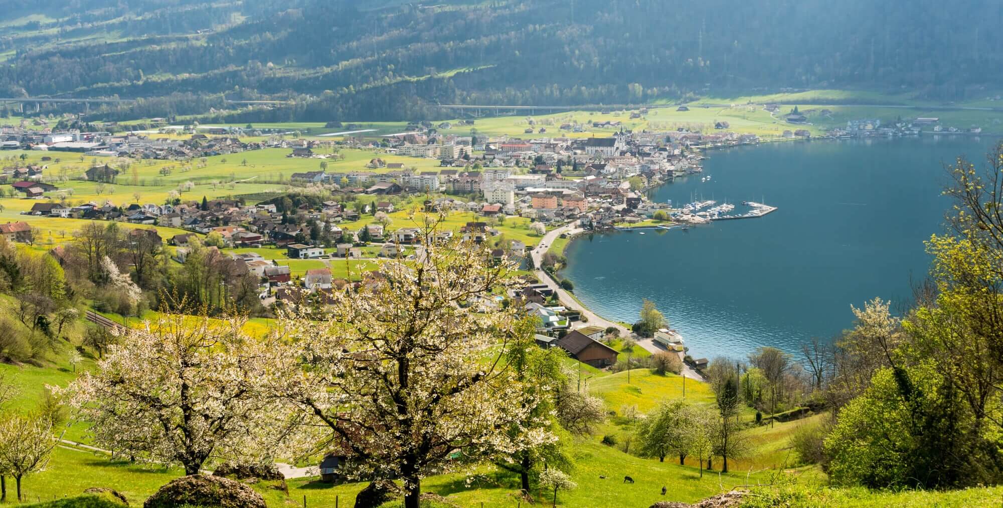Crypto Valley records growth of 14% despite competition