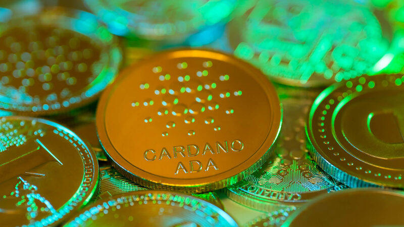 Allegation against Cardano founder: misuse of $ 620 million in ADA?