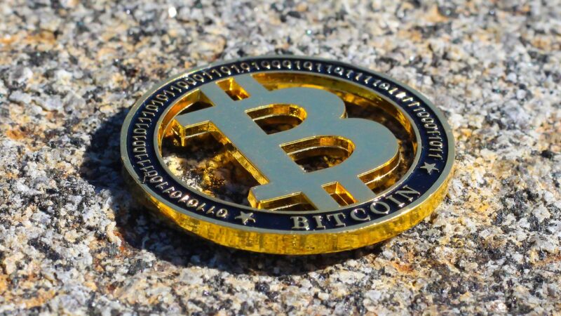 Florida traces Bitcoin reserve plans because national politics remains in the floating