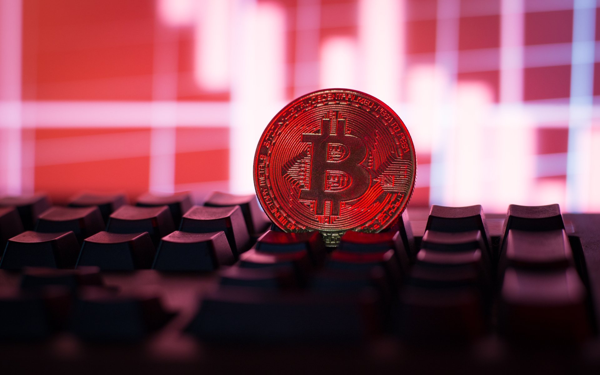 Moody's classes the USA, Bitcoin signals trust from the investor