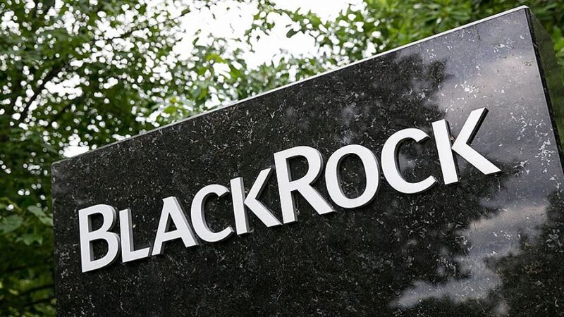 Bitcoin ETF from Blackrock lists the largest decline in the day and thus ends one-month flow series