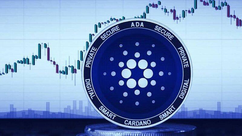 Cardano course wins on driving because AI-upgrade wakes up the optimism of investors