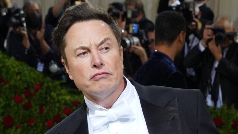 Elon Musk Meme-Coin-Power loses clout