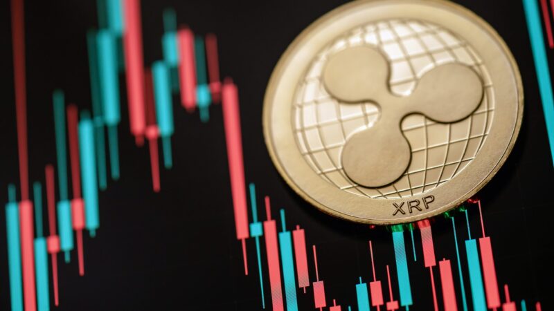 XRP investor as a loser? The Ripple ETFs have this problem