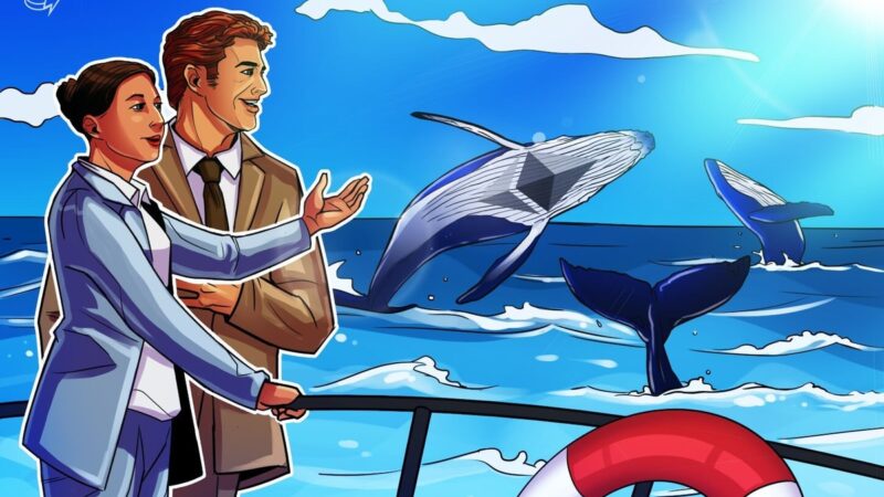 Ethereum (ETH) whales buy as many ETH as not since 2018