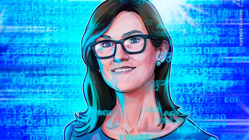 Cathie Woods Ark Invest sells $ 146 million in circle shares