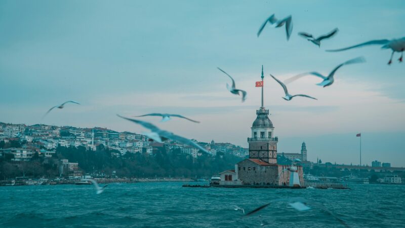Turkish guarantee BBVA Kripto goes into partnership with Wyden
