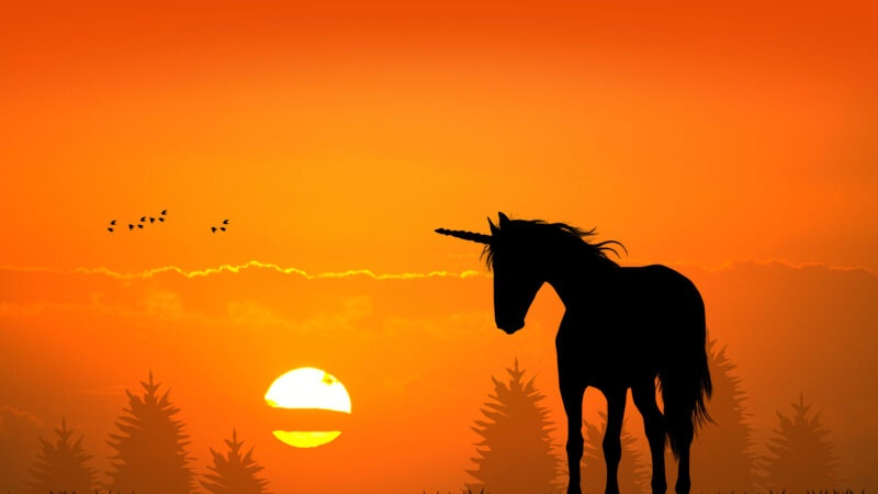 Krypto-Bank Sygnum will be the next unicorn in the crypto Valley