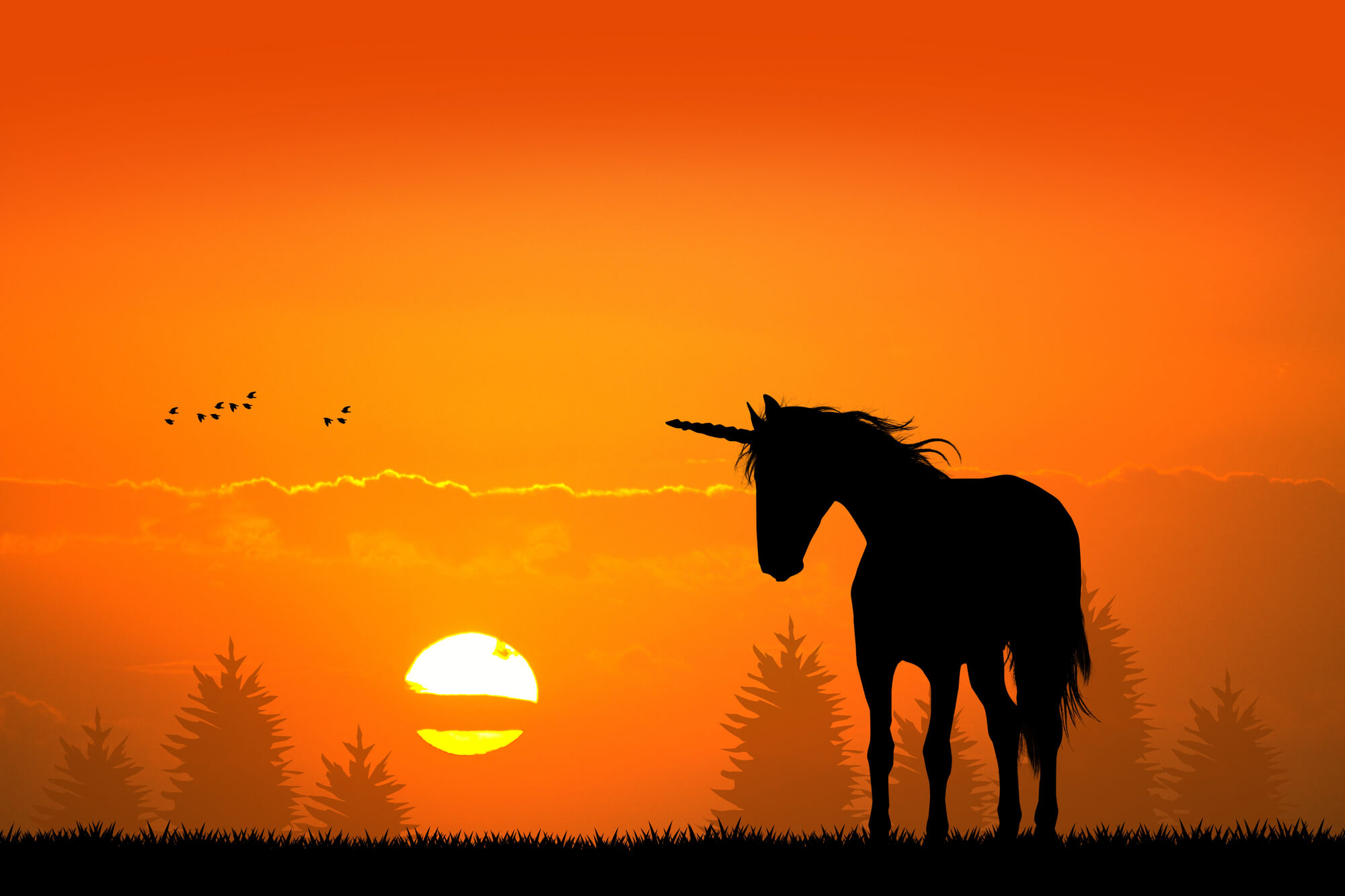 Krypto-Bank Sygnum will be the next unicorn in the crypto Valley