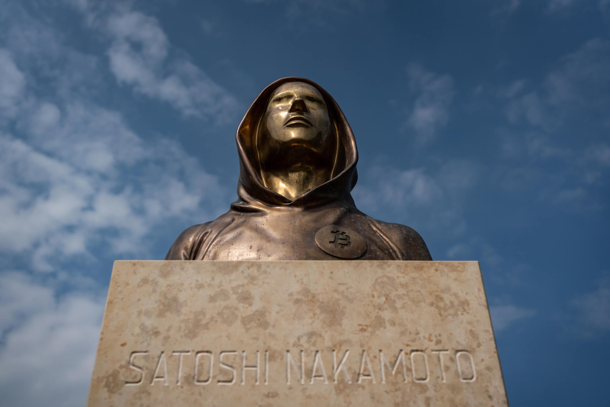 Have institutions destroyed Satoshi Nakamoto's dream?