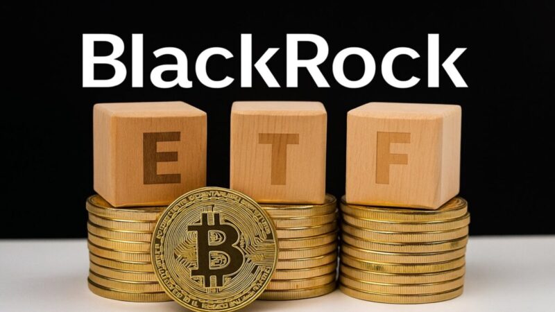 The best cryptocurrencies that you should buy now, since Bitcoin ETFs have a 9-day series of inflow