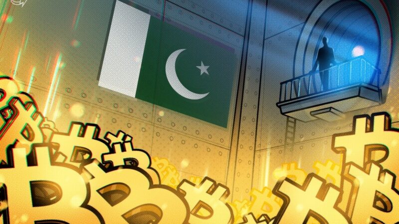 Pakistan announces plans for Bitcoin reserves