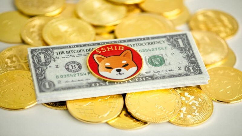 Crypto price prediction: What will Shiba be worth in 2025?