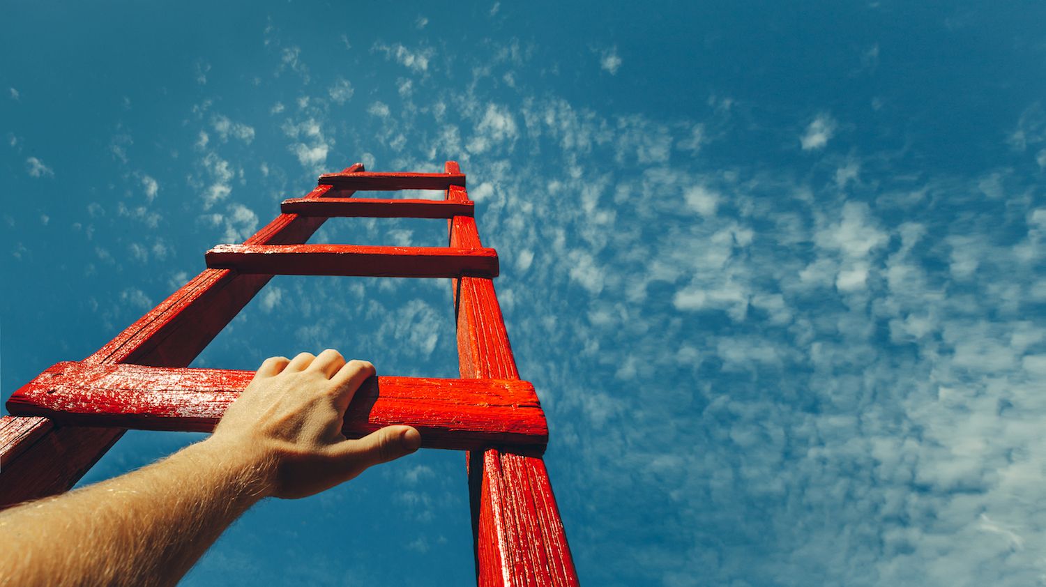 BTC price record is only half reached: Crypto Daybook Americas