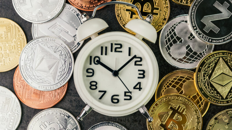 The next cryptocurrencies that will increase: bonk, wif, t6900