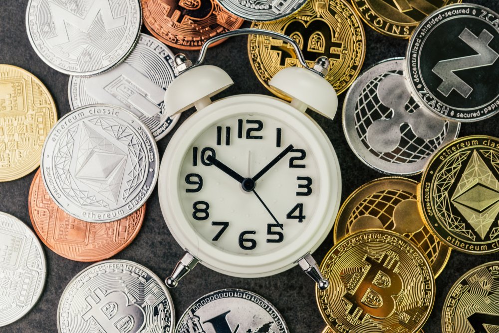 The next cryptocurrencies that will increase: bonk, wif, t6900