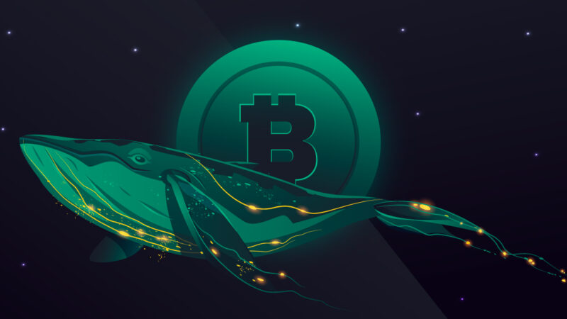 10,000 inactive Bitcoin moved after 14 years: Volatility inevitable?