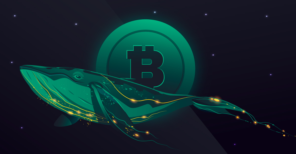 10,000 inactive Bitcoin moved after 14 years: Volatility inevitable?