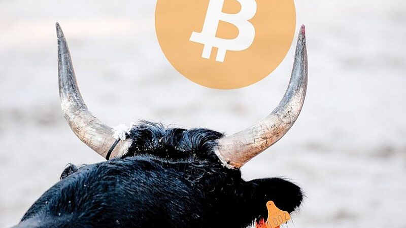 Bitcoin reaches new all -time high over $ 117,000