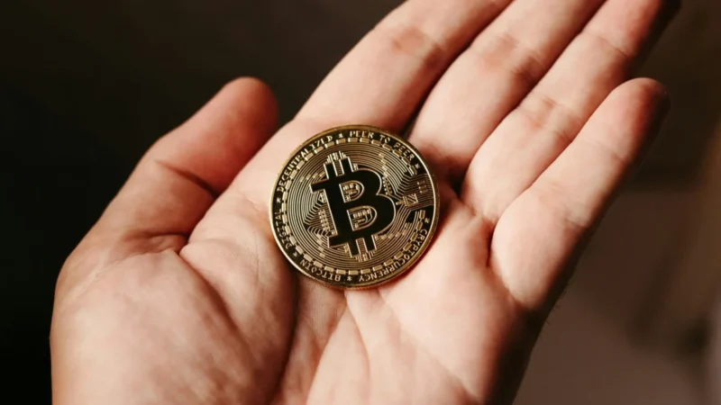Top companies according to Bitcoin stocks