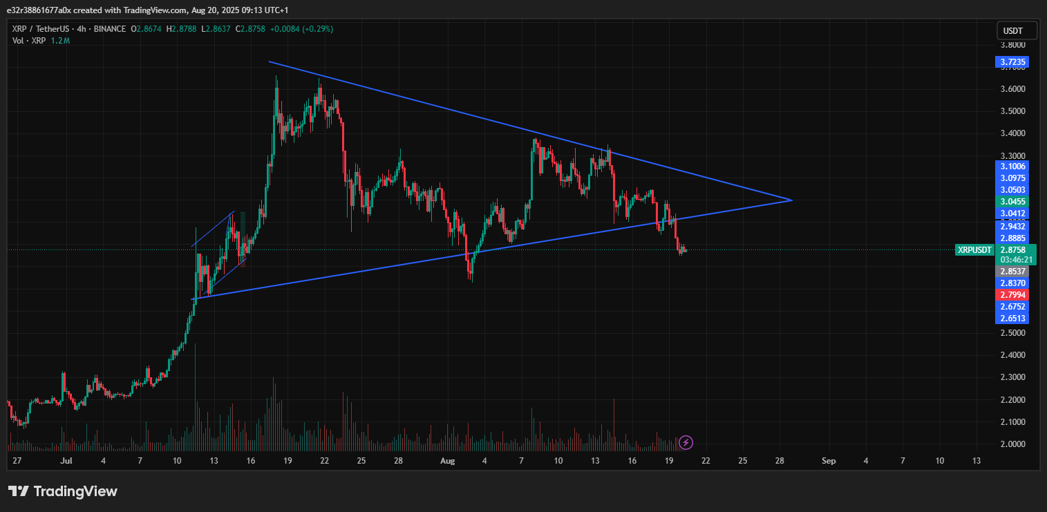 XRP scheint unter ein symmetrisches Dreieck gebrochen zu sein | Quelle: TradingView