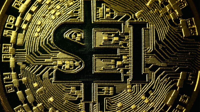 SEI Crypto: Últimos datos, tendencias de precios y análisis de mercado
